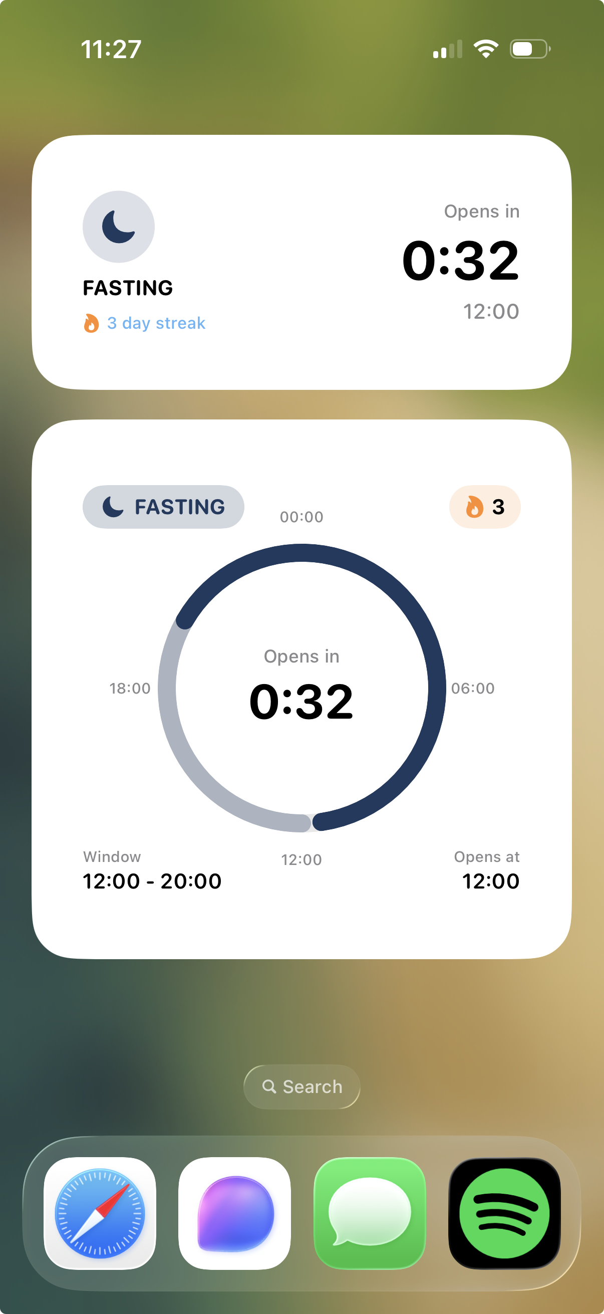 FastTempo iOS widgets